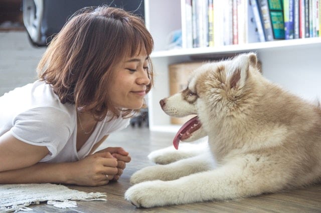 Lady with puppy