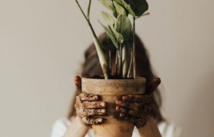 Person holding a plant pot