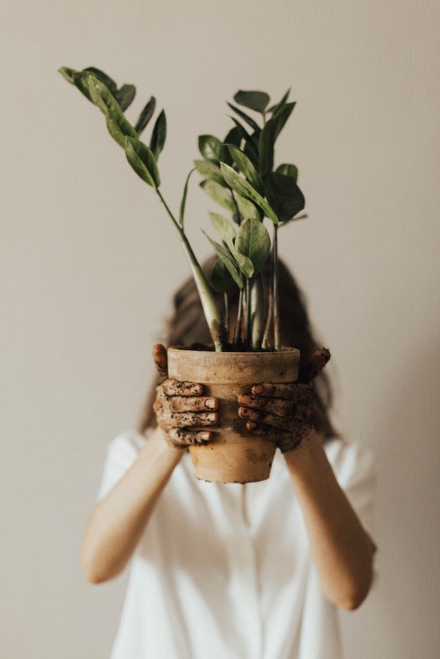 Person holding a plant pot